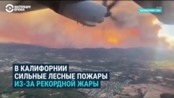 В Калифорнии бушуют сильнейшие лесные пожары