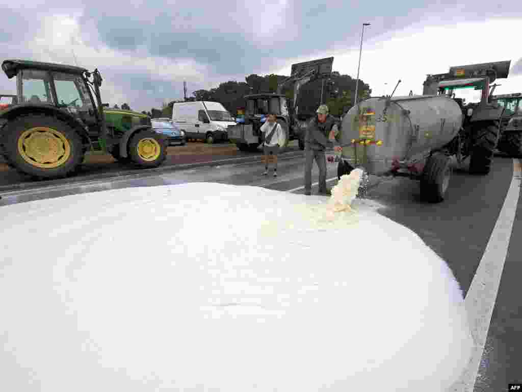 Французские фермеры выливают молоко в знак протеста против снижения закупочных цен 