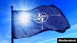 Mnoge članice NATO-a već su izrazile podršku članstvu Švedske i Finske.