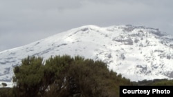 Vrhovi Kilimandžara