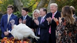 Može li Trump preventivno pomilovati porodicu, saradnike i sebe?