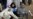 Iraq: Iraqis Reflect On What 2006 May Hold In Store