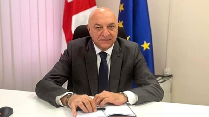 თორნიკე რიჟვაძის საქმეზე დაკავებულია საზღვაო ტრანსპორტის სააგენტოს დირექტორი