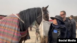 تصویر از صفحه رسمی ایکس، توییتر سابق، ویرونیکا بوسکوویچ پوهار، کاردار اتحادیه اروپا در افغانستان