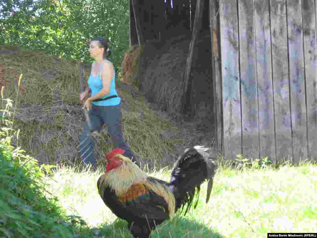 Fotografije: Ankica Barbir Mladinović i arhiv Eko sela Blatu&scaron;a