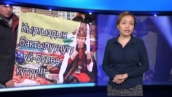 Видео жаңылыктар, 27-февраль, 2014