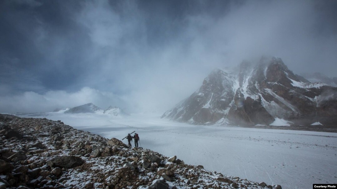 Жалаңаш мүйізді манго Жалаңаш мүйізді манго