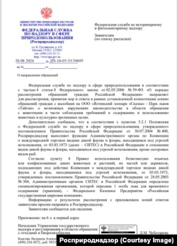 Ответ зоозащитникам по львице Симе