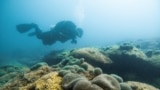 CROATIA-ENVIRONMENT/CORAL REEF