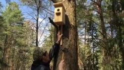 Падчас талакі ў Курапатах разьвесілі шпакоўні