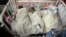 AFGHANISTAN -- Newborn babies lie in their beds at the Ataturk Children's Hospital a day after they were rescued following a deadly attack on another maternity hospital, in Kabul, Afghanistan, Wednesday, May 13, 2020. 