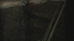 Лада на Гуканьні Вясны ў Заслаўі, 1982.