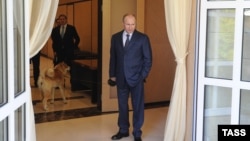 Володимир Путін у резиденції «Бочаров ручей» (архівне фото)