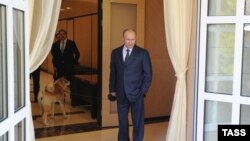 Владимир Путин в резиденции "Бочаров ручей"