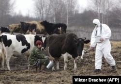 A worker of the Belarusian radiation ecology reserve measures radiation levels in the village of Vorotets in April 2006