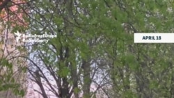 Shooter Kills Six In Daylight Incident In Kyiv