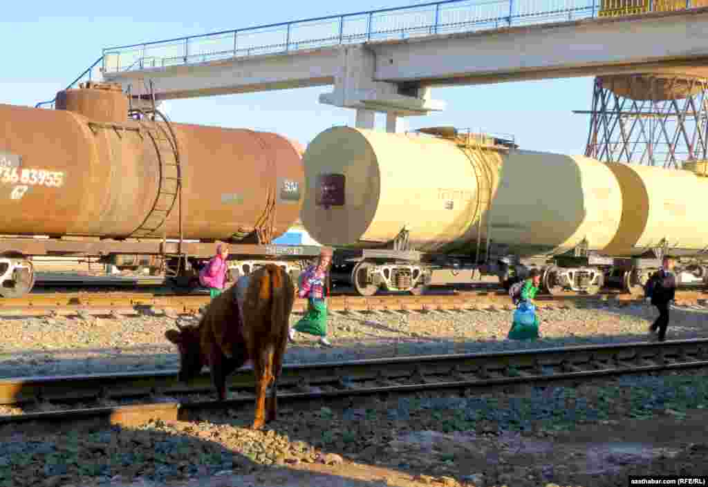 Jebelde demir ýoldan okuwçylaryň we idegsiz ýören malyň geçýändigini görse bolýar