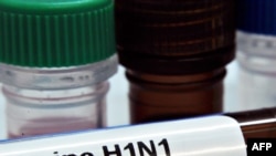 U.K. -- DNA test kits of the the influenza A (H1N1) or Swine Flu virus prepared by PrimerDesign Ltd are displayed at the company laboratory in Southampton, 02May2009