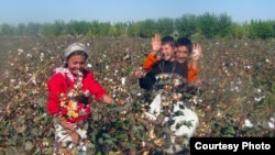 Мақта теріп жүрген балалар. Өзбекстан, 21 қазан 2012 жыл.