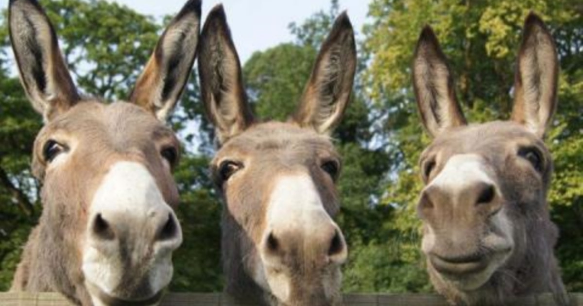 Yigit ayolni sikadi Voyaga etgan ayollar jinsiy aloqa haqida hikoyalar