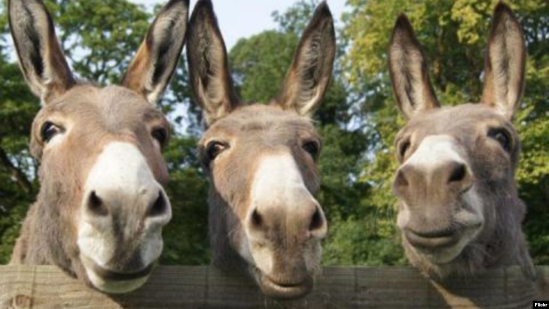 Fisting filmlarini tomosha qiling