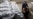 3 Antipolio Workers Shot Dead In Pakistan