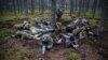 Polish Citizens, Lawmakers Get Defensive