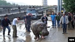 Покрытая слоем грязи площадь Героев в Тбилиси, по которой брели сумевшие спастись от стихии люди и животные из местного зоопарка, теперь станет еще и памятным местом этой трагедии