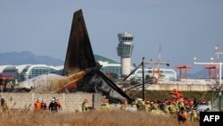 Nu se cunosc clar cauzele accidentului: ipoteza de la acest moment este că aeronava să fi lovit o pasăre, ceea ce a dus la un eșec în desfășurarea roților înainte de aterizare. Muan, 29 decembrie.