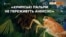 Російські шкідники з’їдають кримські пальми | Крим.Реалії