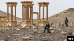 Ресейлік әскерилер Пальмираның тарихи бөлігін минадан тазарту жұмысын атқарып жүр. Сирия, 11 сәуір 2016 жыл.