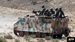 Учения армии Алжира