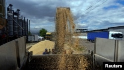 FILE PHOTO: A worker loads a truck with grain at a terminal during barley harvesting in Odesa region