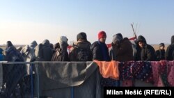 Migranti na granici Srbije i Hrvatske u novembru 2016., ilustracija 