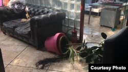 Police are investigating the incident, which took place overnight on June 9-10.