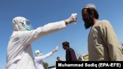 په افغانستان کې د کورونا وایرس ۴۹ نور مثبتې پېښې ثبت شوي