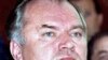 Scholar Says U.S. Military Met Mladic, But Made No Arrest