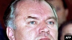 Bosnian Serb commander Ratko Mladic in 1995