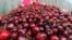 Kyrgyzstan - Osh bazaar, Osh market, bazar, fruits, cherry, generic, undated