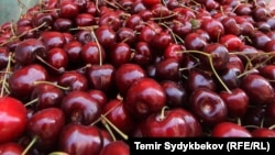 Արխիվային լուսանկար