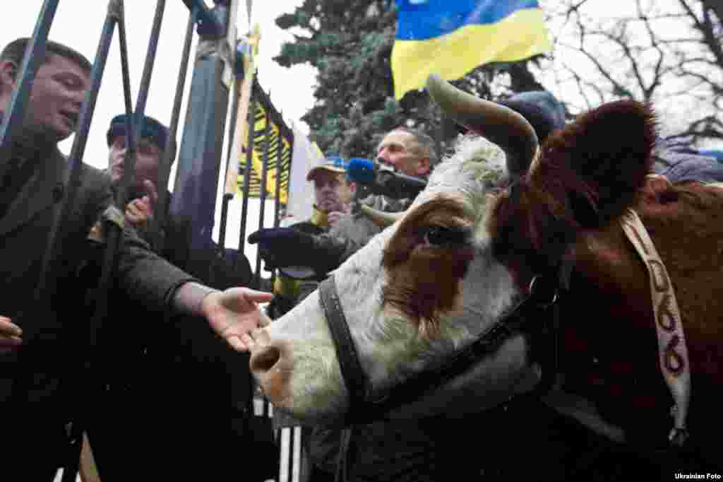 Акция украинских фермеров.