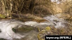 12 лютого, за даними синоптиків, в Україні мокрий сніг, місцями з дощем, подекуди налипання мокрого снігу