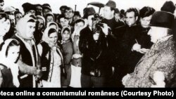 Ceauşescu în vizită de lucru la C.A.P. Fundulea. (8 nov.1972) Fototeca online a comunismului românesc; cota:11/1972