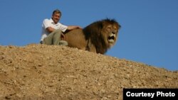 Ілюстраційне фото: перший вожак левів у сафарі парку «Тайган» лев Лорд (нині покійний)