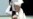 Agreement On Taliban Prisoner Release Brings Afghan Peace Talks A Step Closer