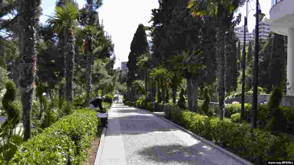 От былого великолепия парка сохранилась пальмовая аллея&nbsp;&ndash; центральное место для прогулок