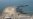U.S. Exempts Iran's Chabahar Port From Sanctions In Nod To Afghanistan