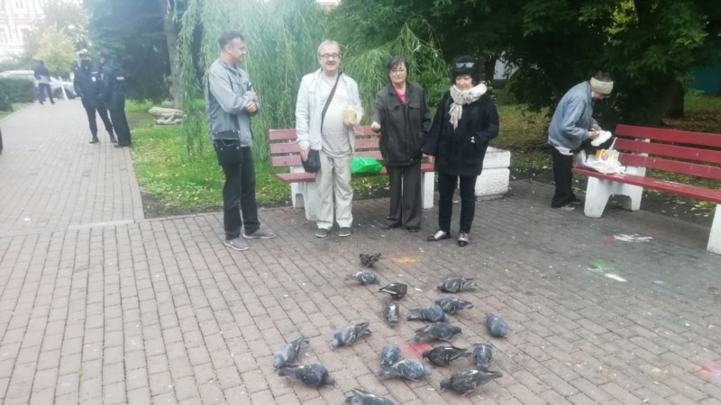 В Ульяновске прошла самая короткая акция: 50 секунд активисты кормили голубей в поддержку хабаровчан