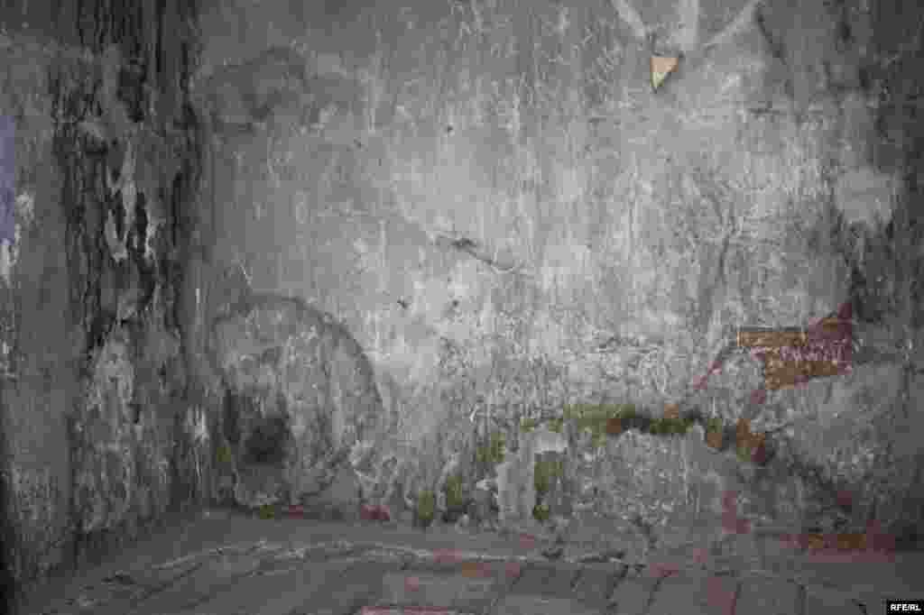 Сайре дар осорхонаҳои кишвар #67