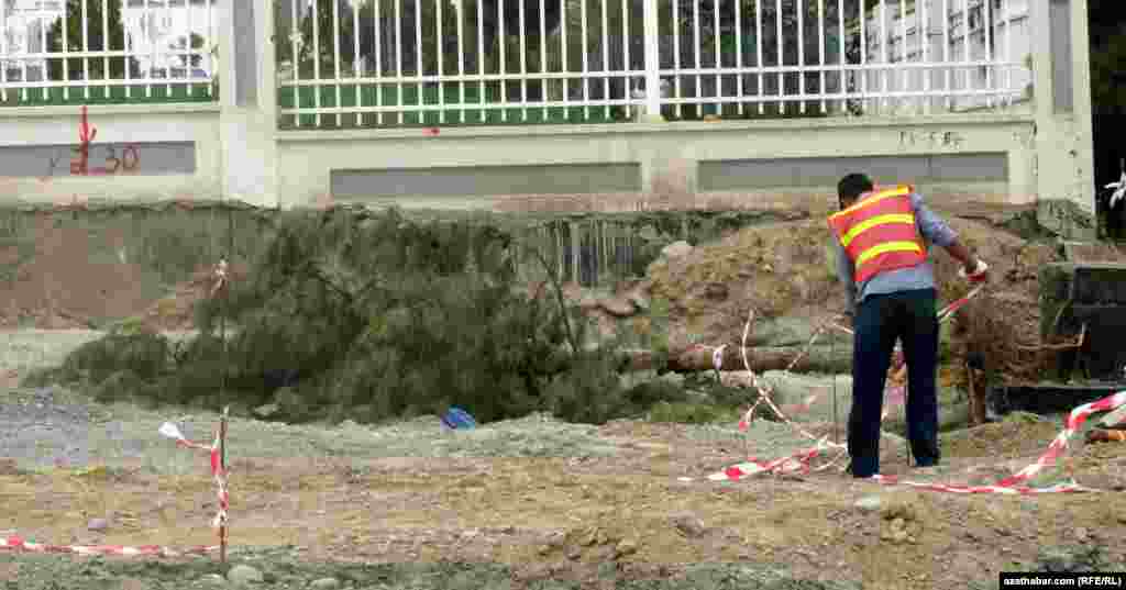 Ýaşaýjylar abatlaýyş işleri ýa-da gurluşyklar sebäpli öz ýaşaýyş jaýlarynyň golaýyndaky ýaş agaçlaryň hem birnäçesiniň çapylandygyny belleýärler.